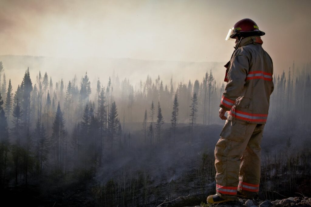 Fireman in Uniform Looking at Forest after Fire